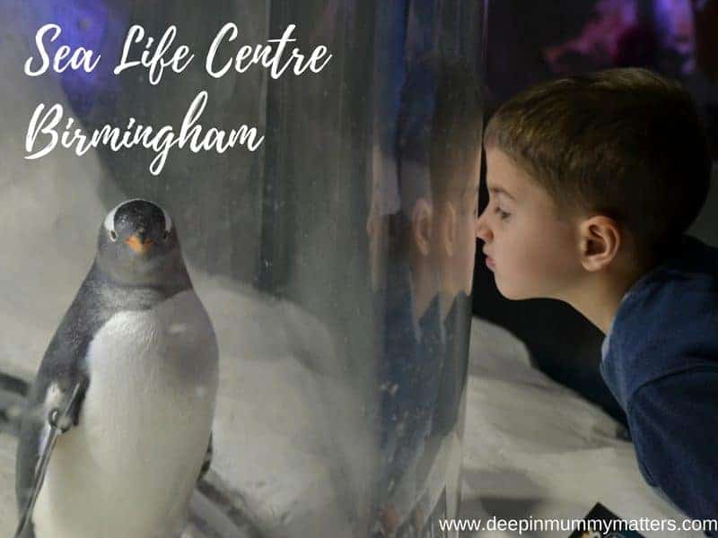 An afternoon at Sea Life Centre Birmingham 1