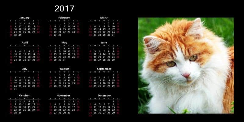 Photo calendar