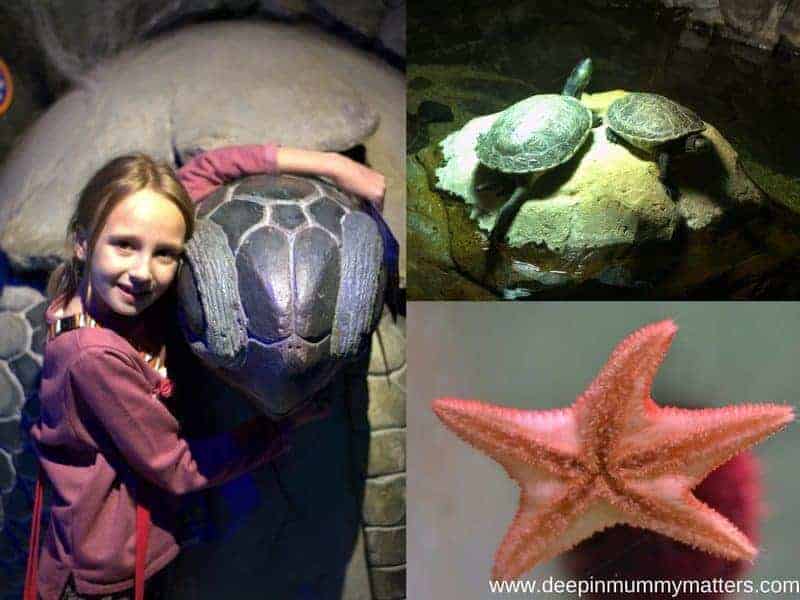 Sea Life Centre Birmingham