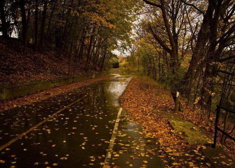 wet roads