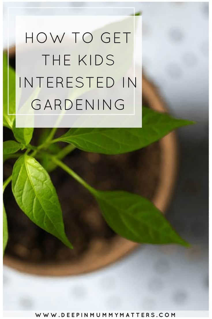 HOW TO GET THE KIDS INTERESTED IN GARDENING