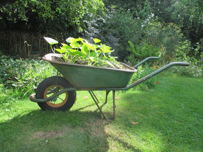 Wheelbarrow