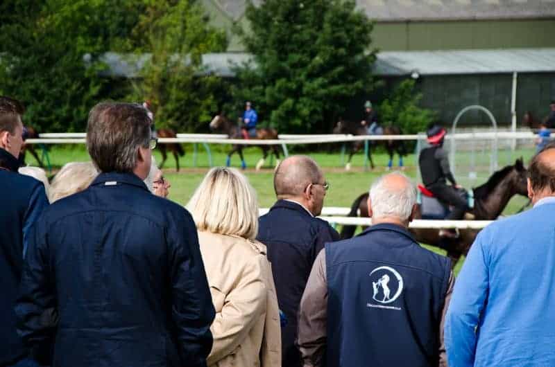 Discover Newmarket Tour