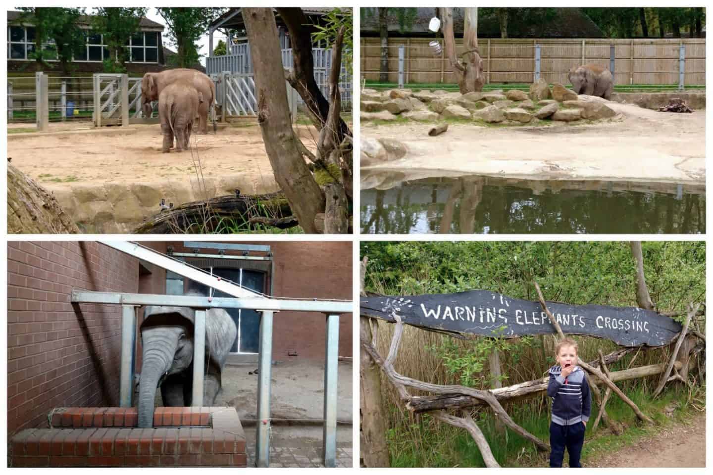 Twycross Zoo