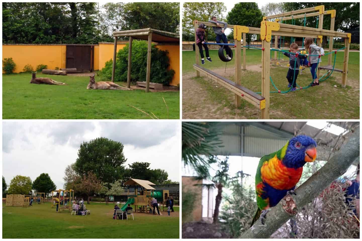 Twycross Zoo