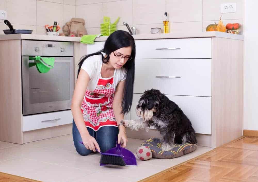 HOUSE CLEANING TIPS FOR DOG OWNERS