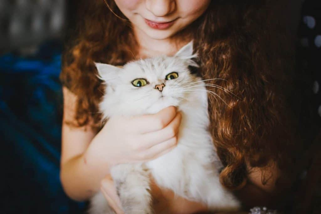 Cats and Kids