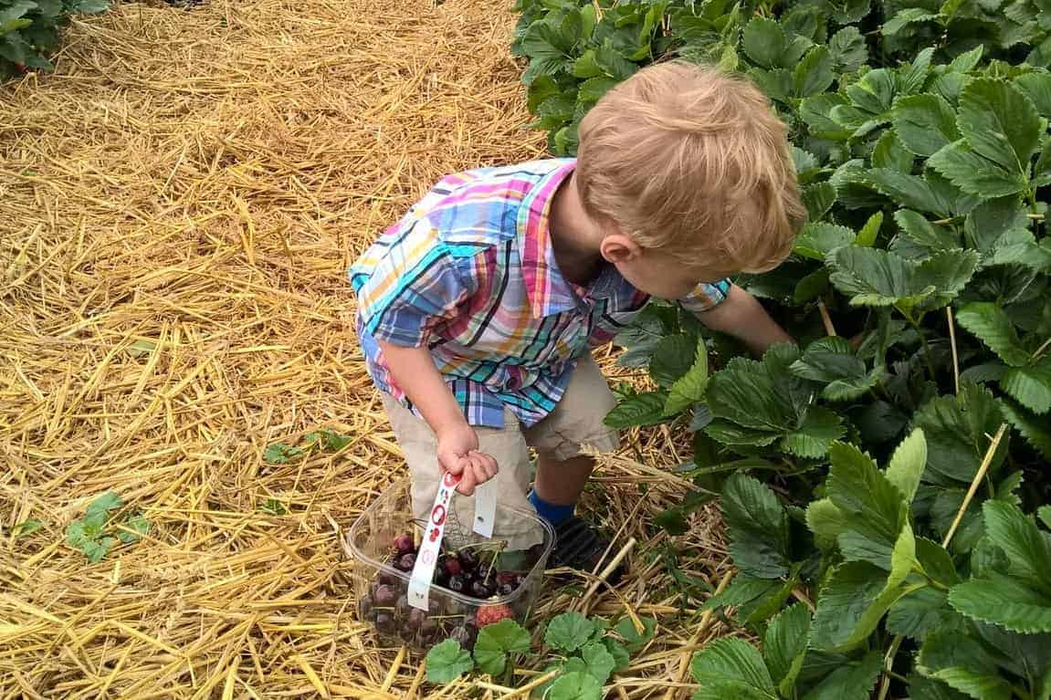 Gardening with children