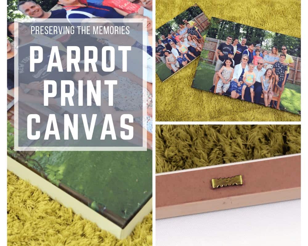 Parrot Print Canvas