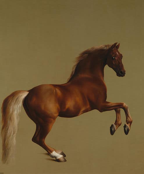 Whistlejacket