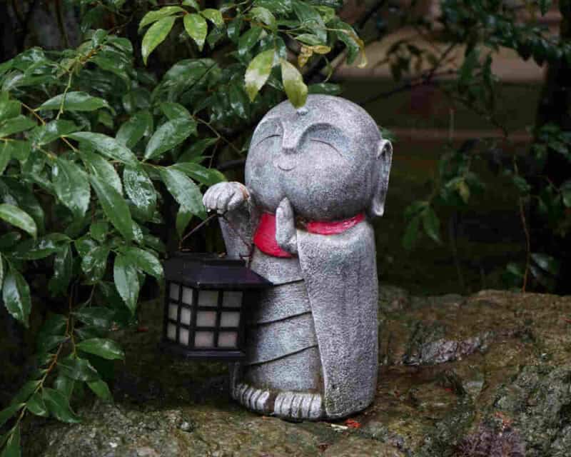 How Can You Spice up Your Garden and Make It Look like a True Zen Oasis? 1