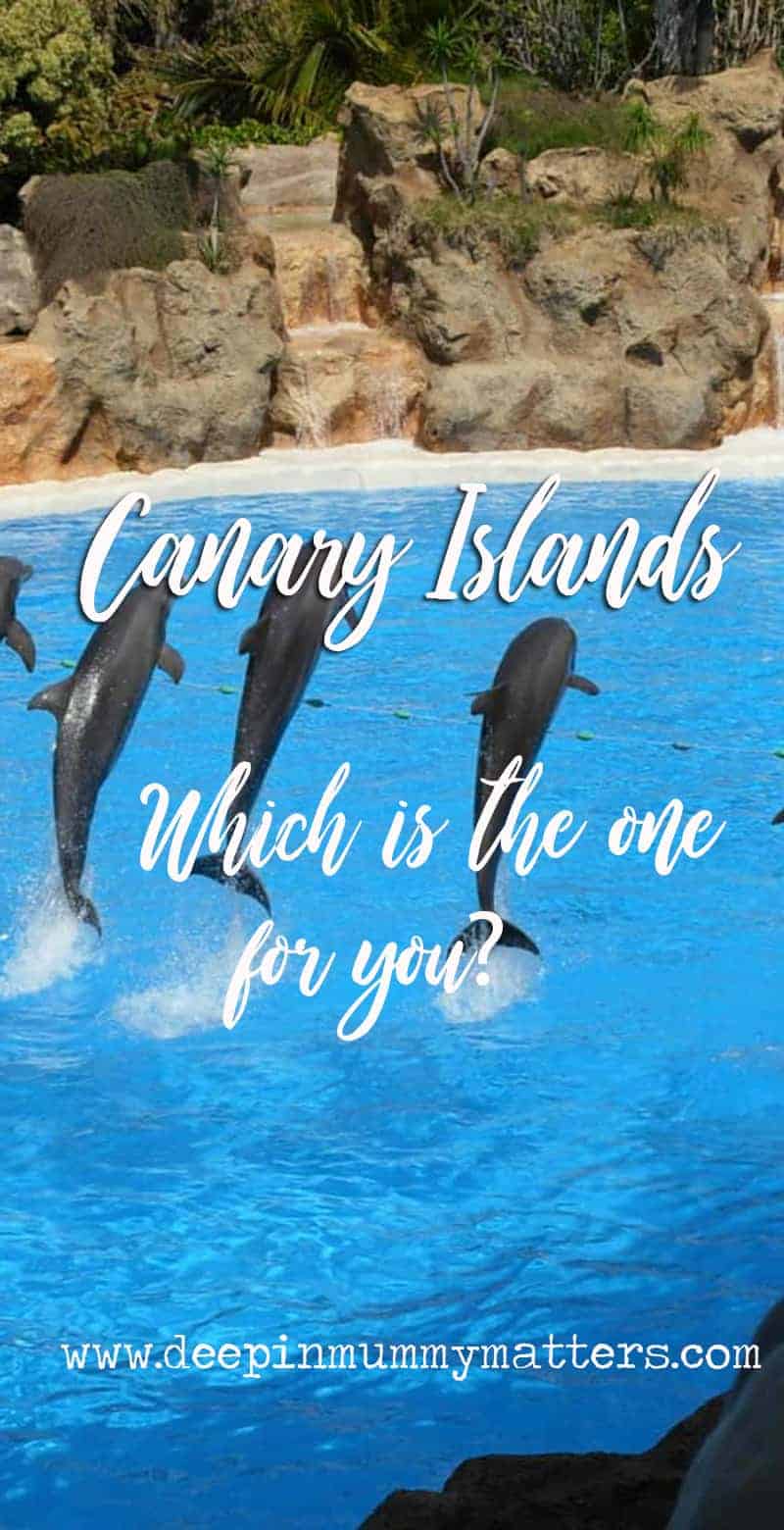 Canary Islands - which is the one for you?