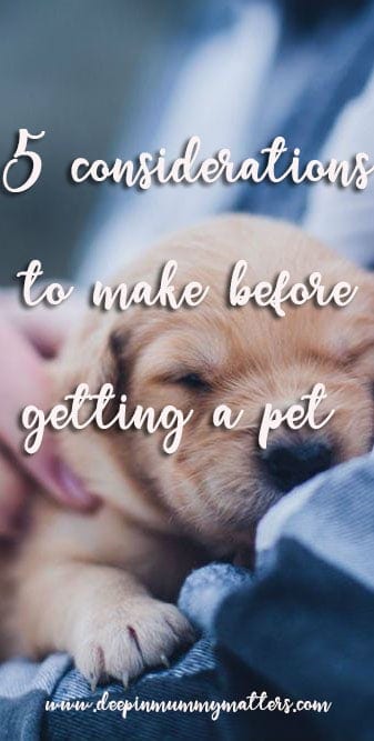 5 considerations to make before getting a pet