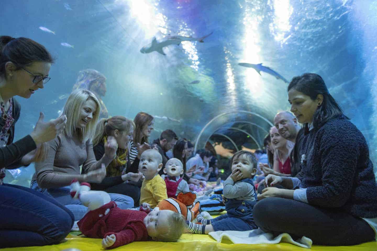 Sensory Under the Sea – UK’s First Underwater Baby Class