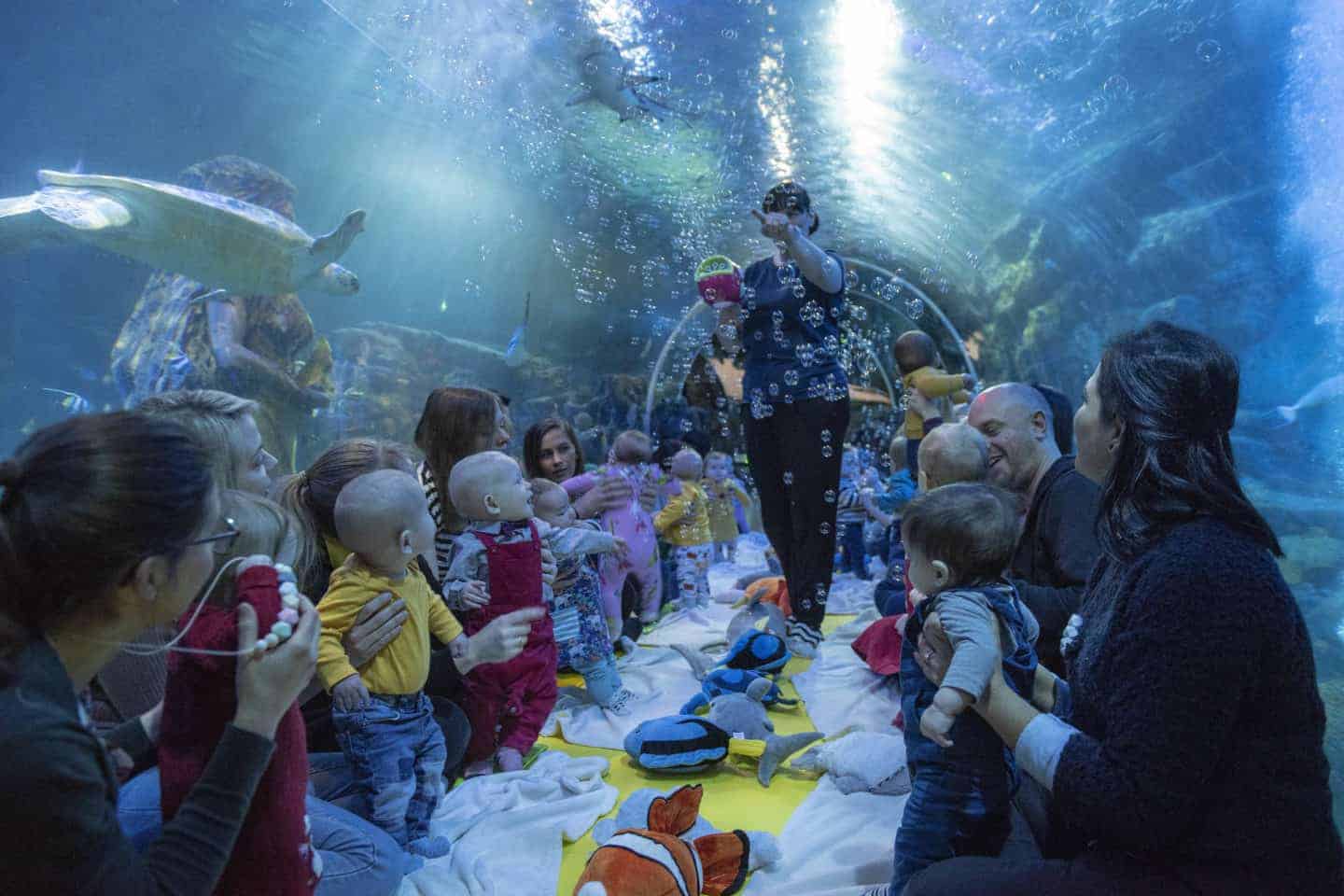 Sea Life Baby Sensory