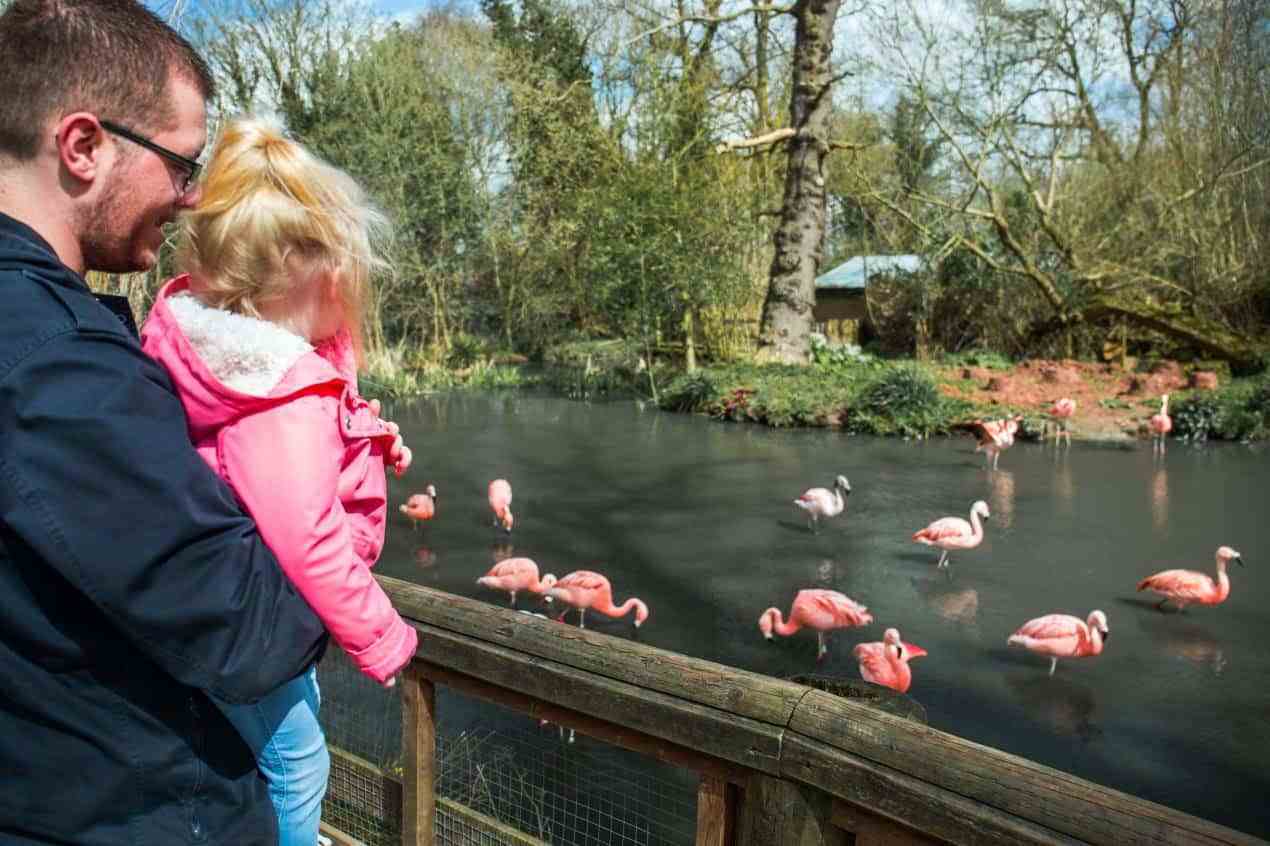 Twycross zoo