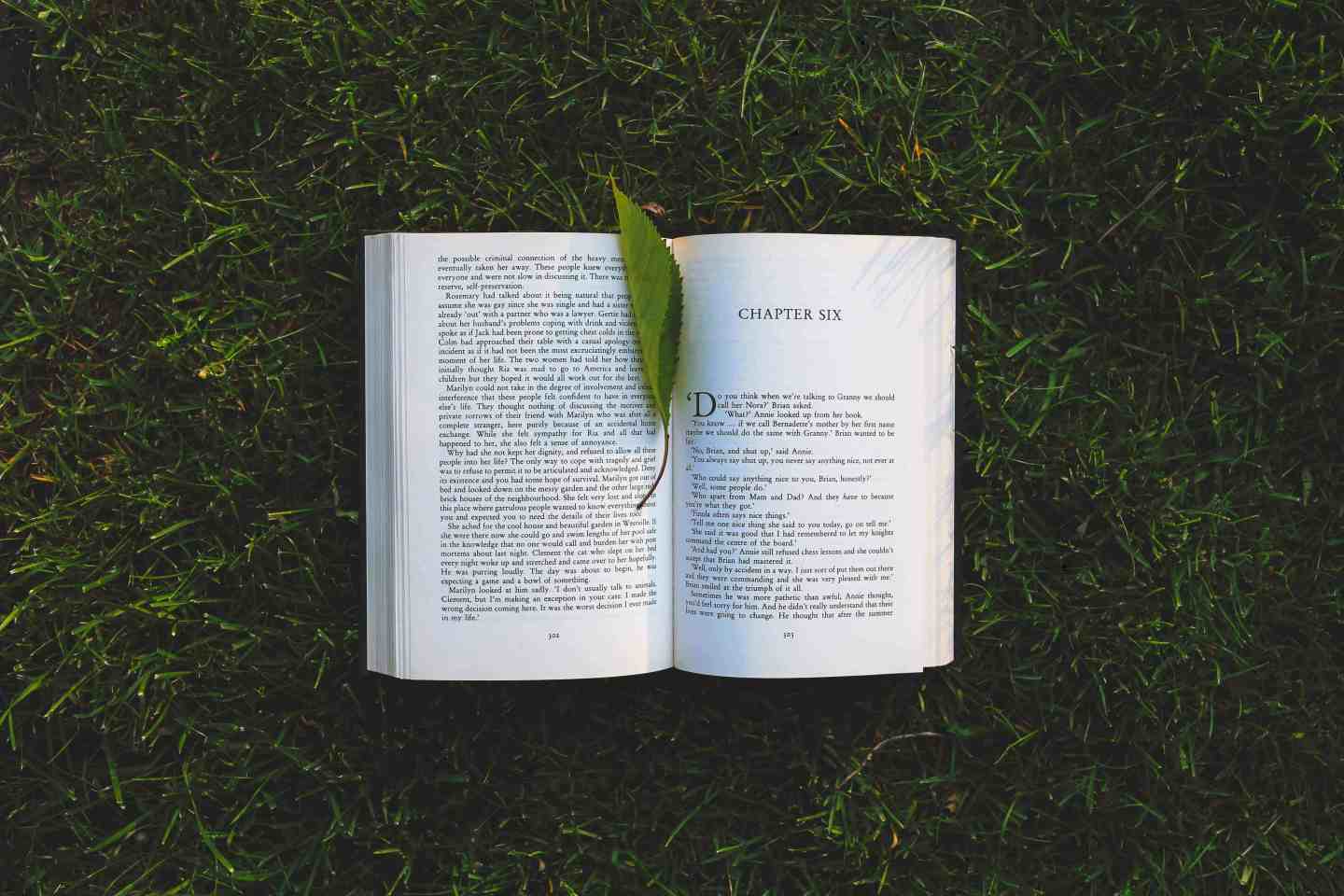 How to create the perfect reading oasis