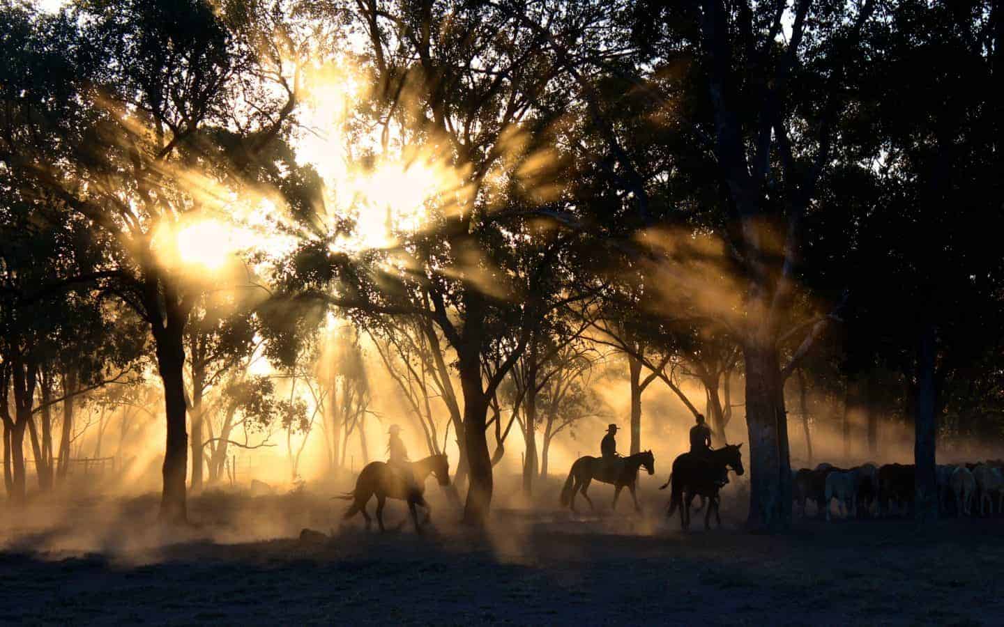 Horse riding