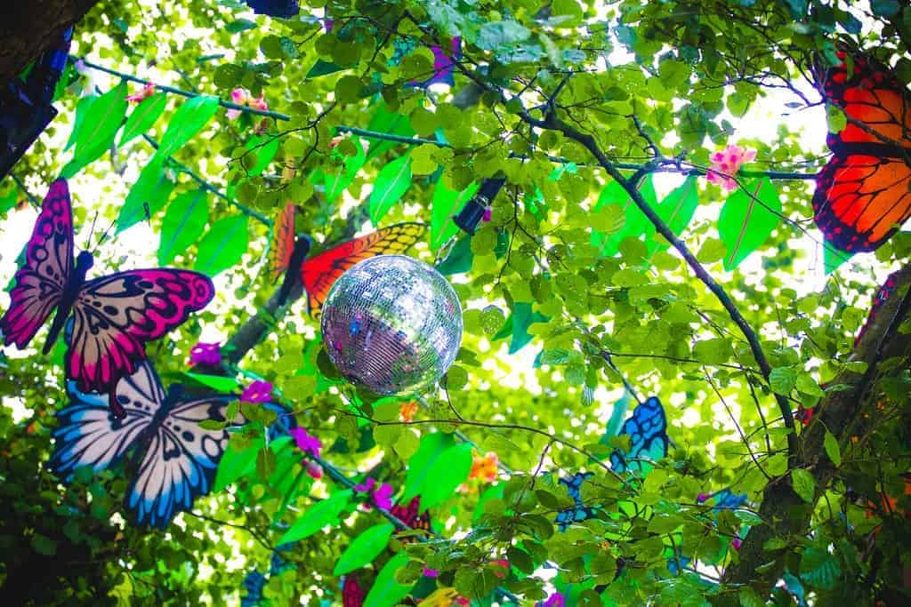 Glitter ball and butterflies hanging in a tree