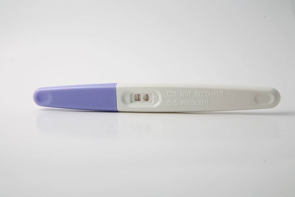 Pregnancy Test