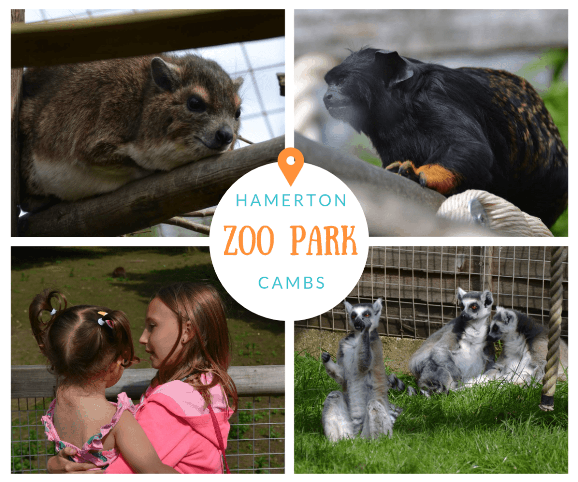 Hamerton Zoo Park