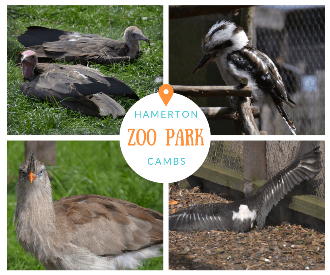 Hamerton Zoo Park