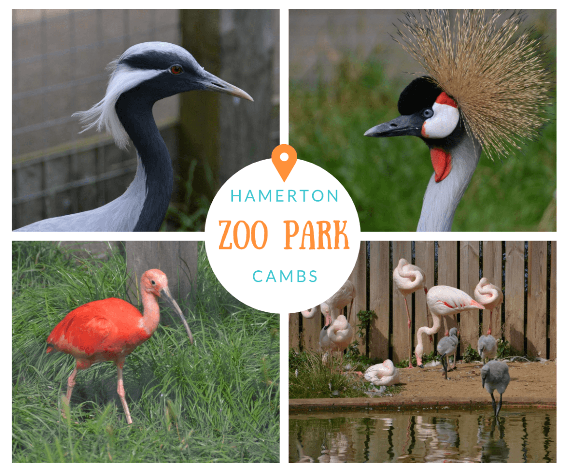 Hamerton Zoo Park