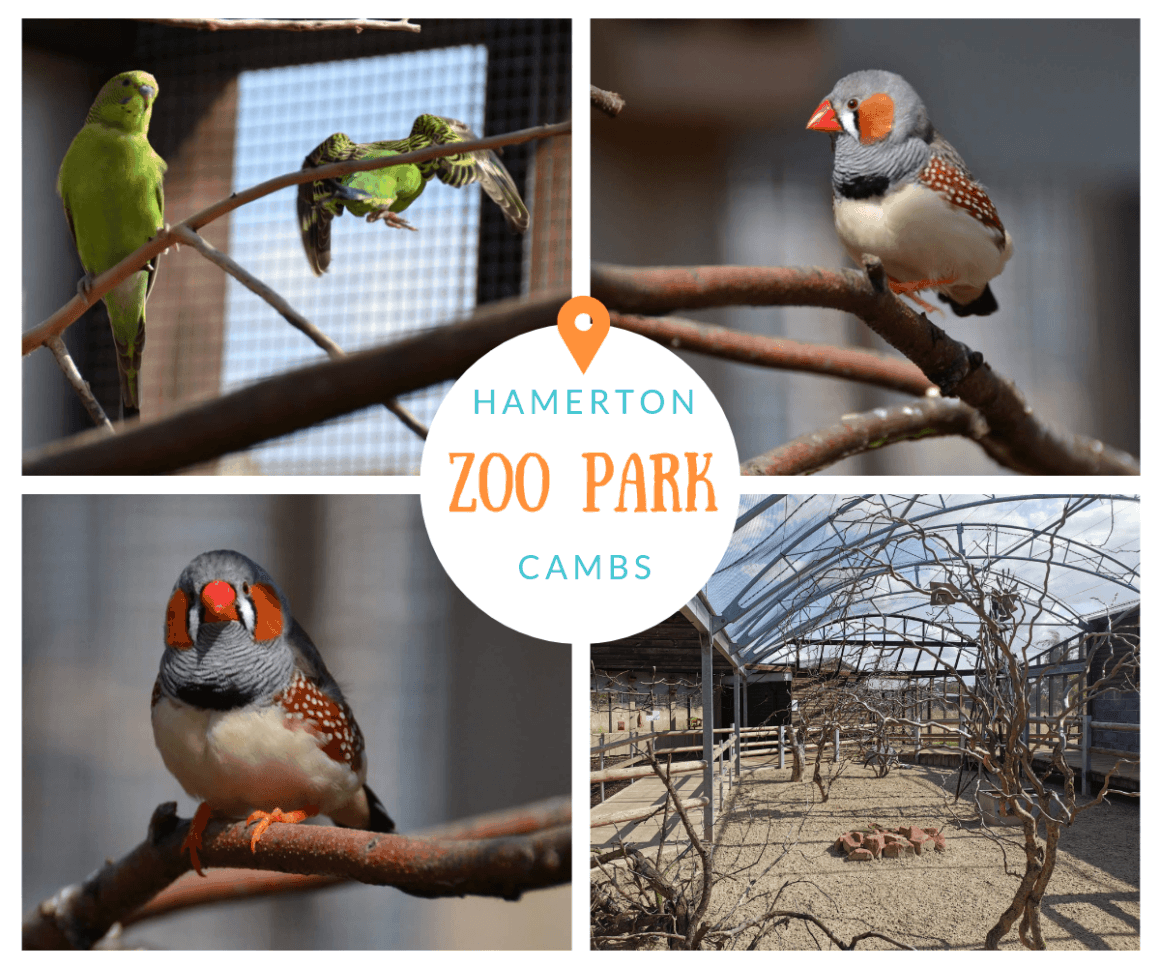 Hamerton Zoo Park