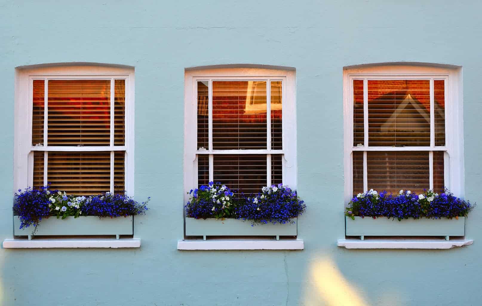 Sash Windows