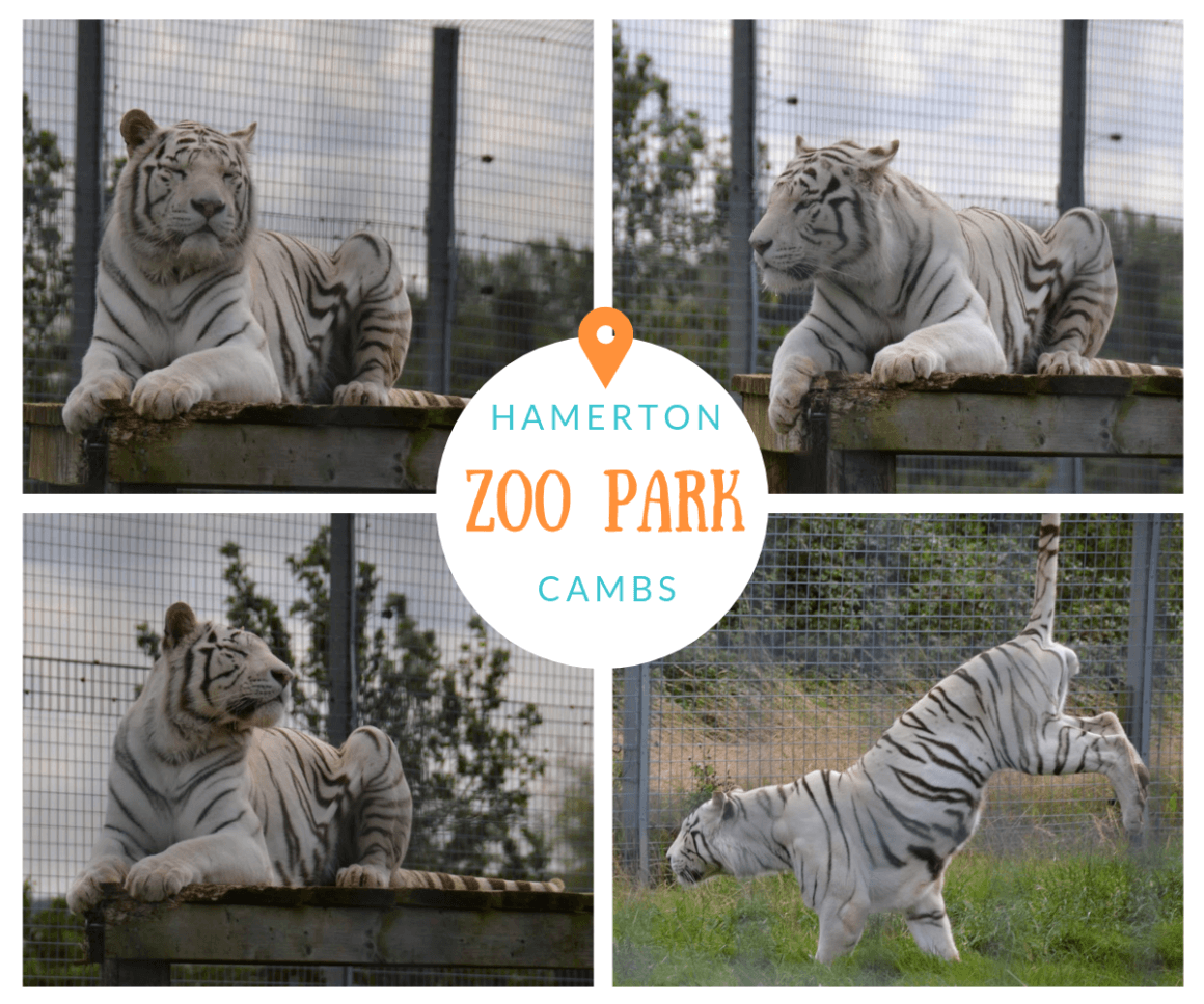 Hamerton Zoo Park