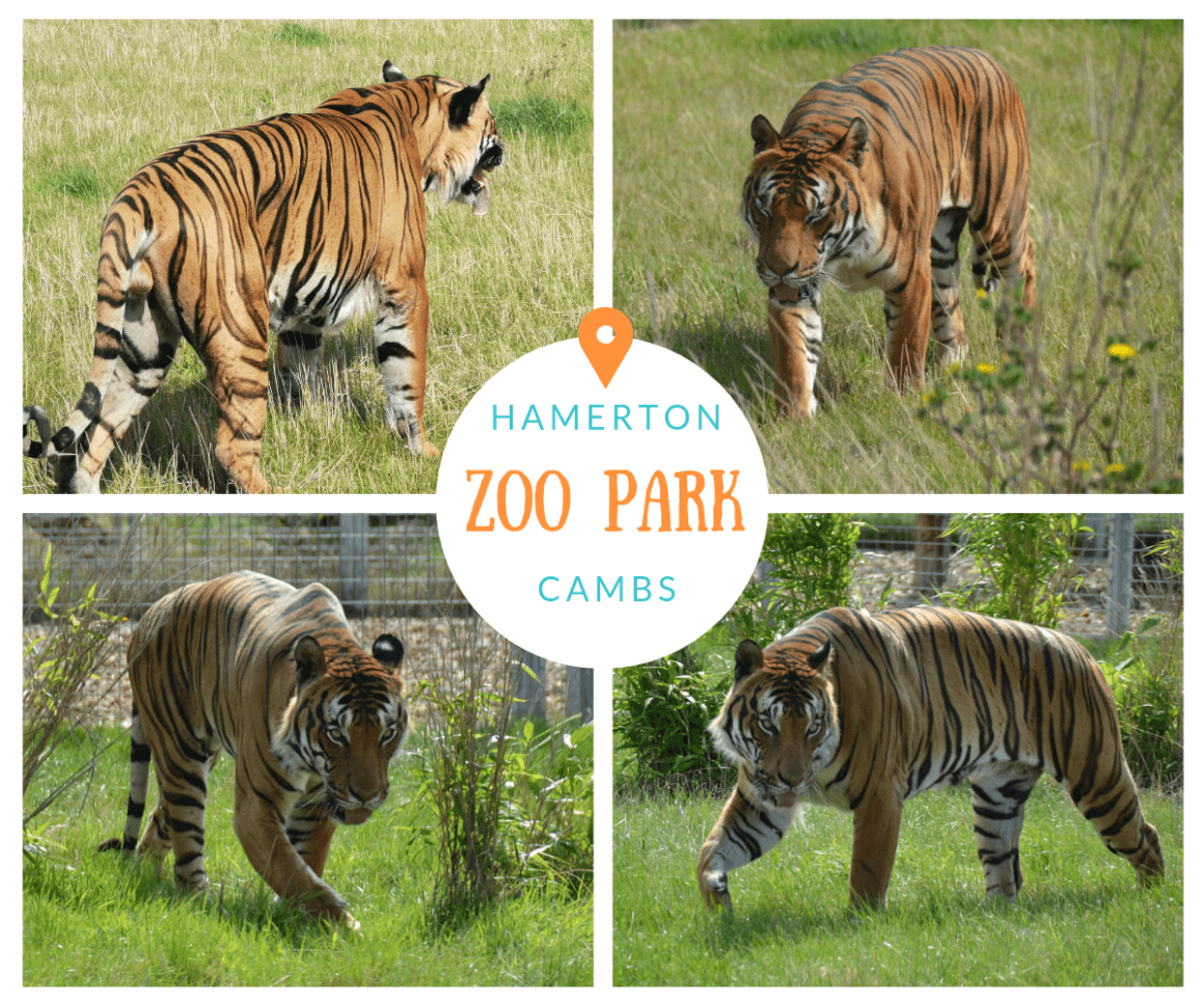 Hamerton Zoo Park