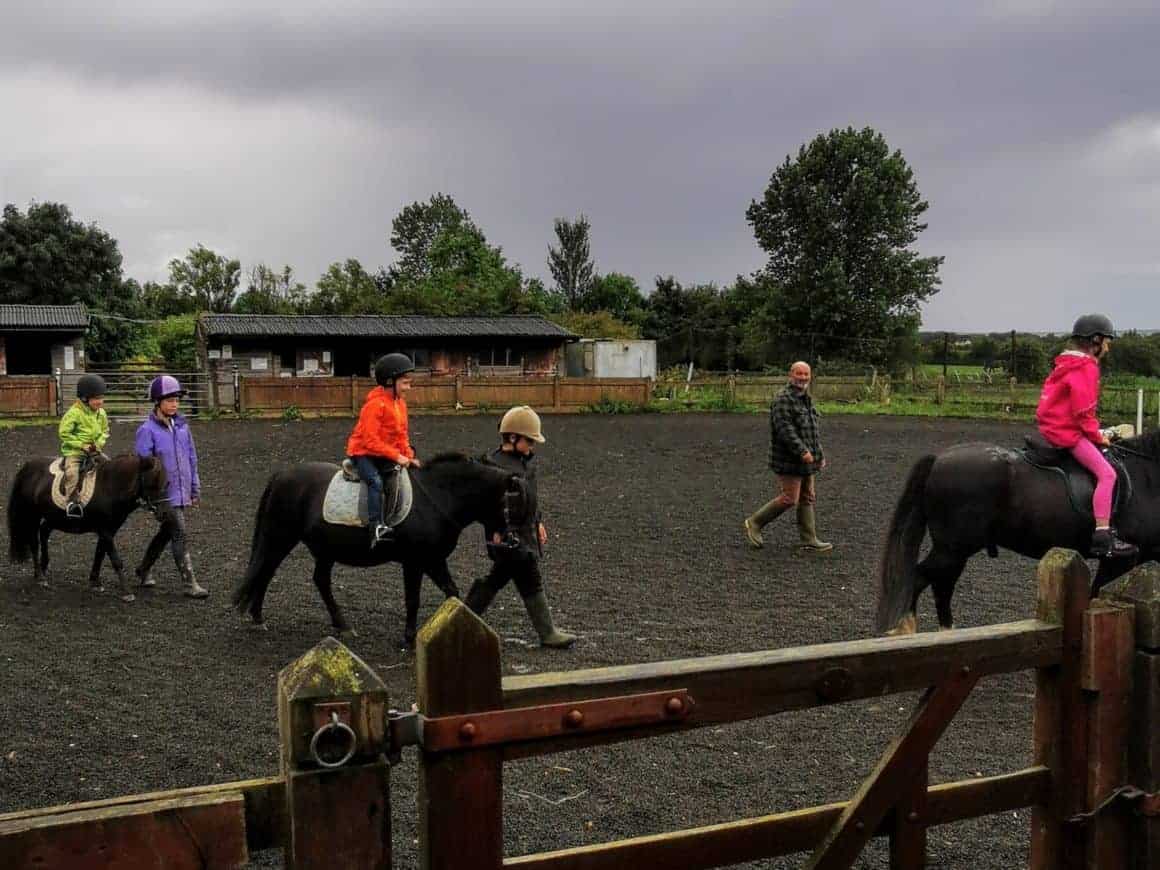 Horse Riding Lessons