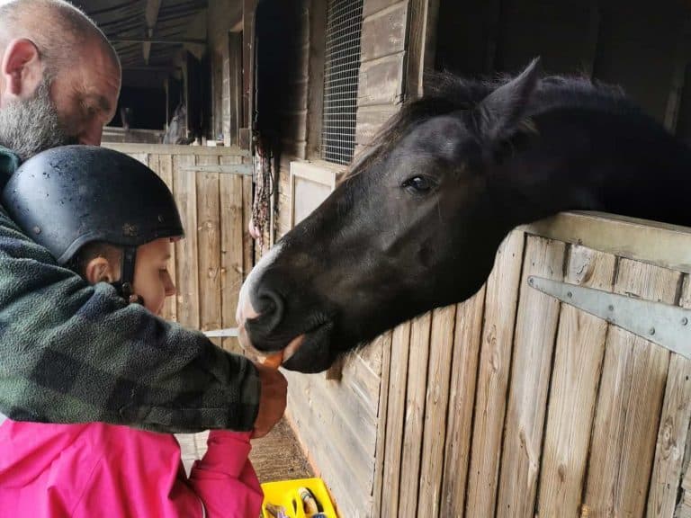 The one where the Beans start Horse Riding . . . Mummy Matters