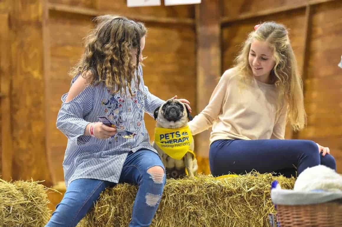 National Pet Show