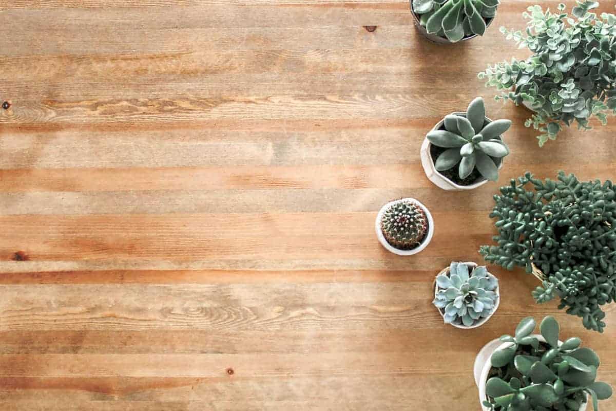 Best flooring for your home