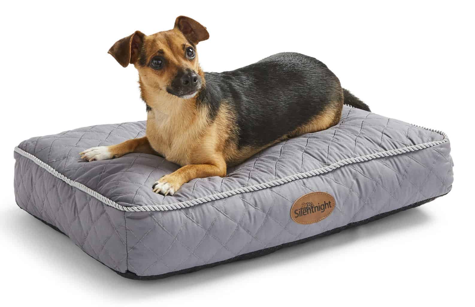 Review Ultrabounce Silentnight Pet Bed Mummy Matters Parenting and