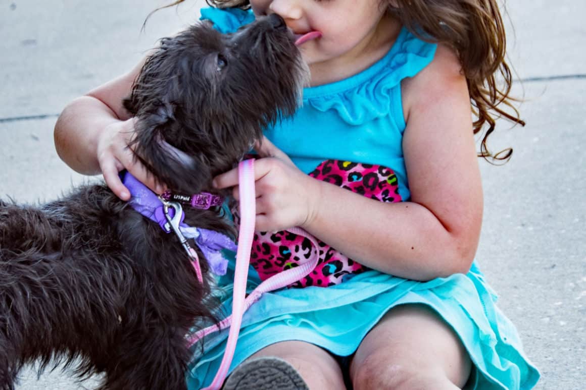 Child and dog