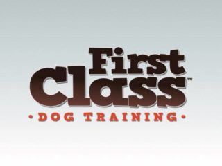 First Class Dog Training