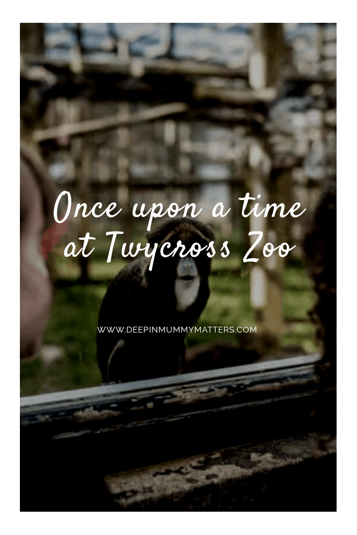 Once Upon a Time at Twycross Zoo