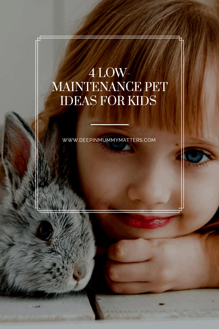 low-maintenance pet ideas for kids