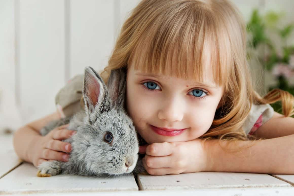 pet ideas for kids