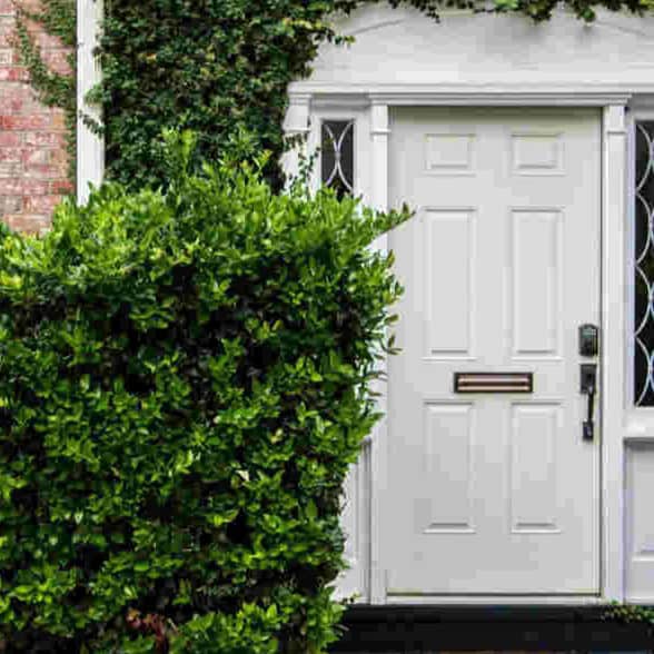 Choose a new front door