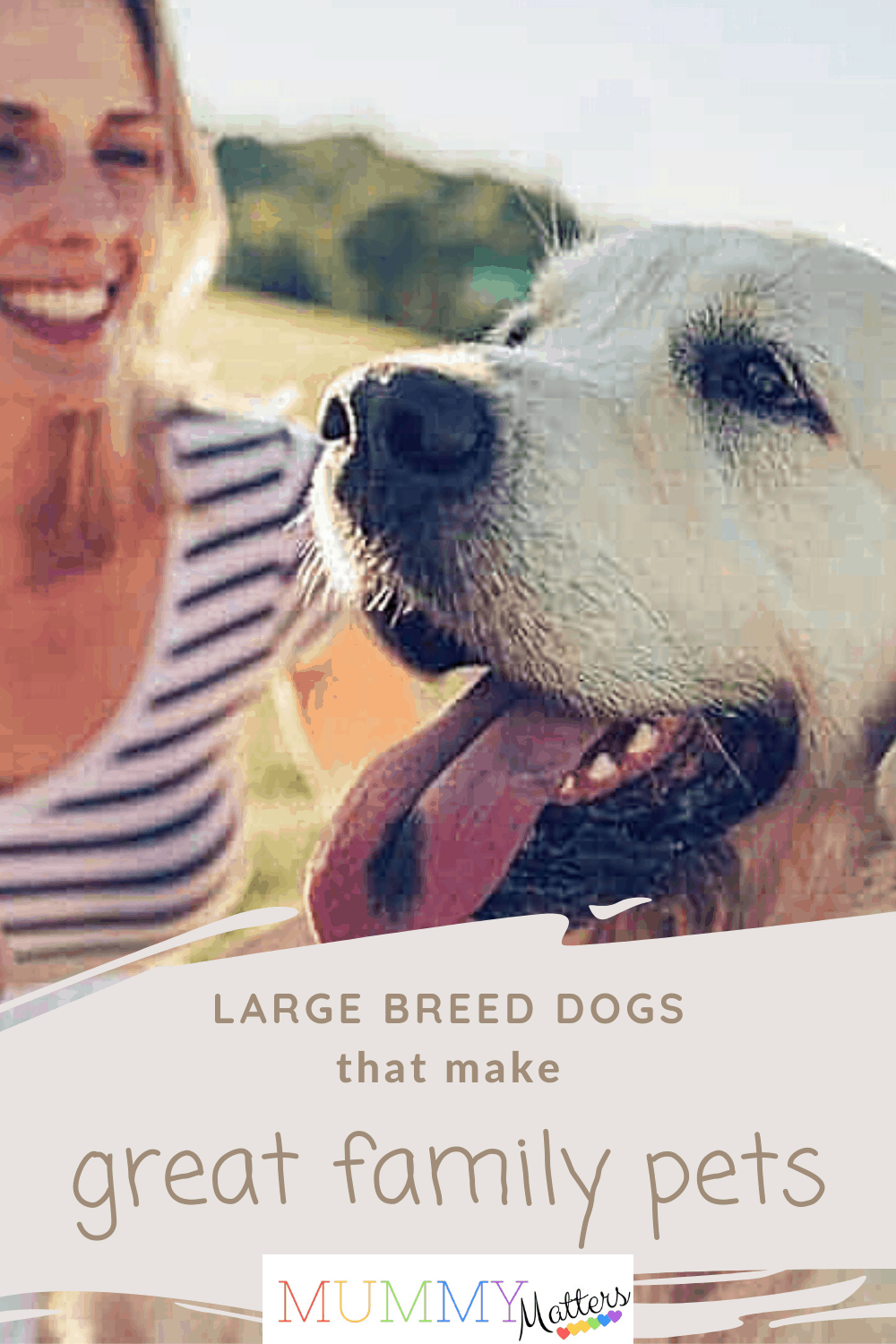 Keep reading to find out about some special large breed dogs and why they would make the best family pets!