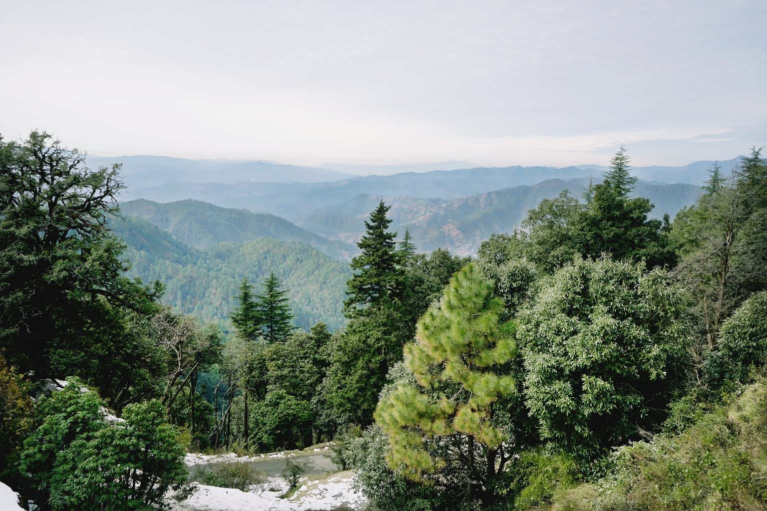 calm valley with green trees on slopes