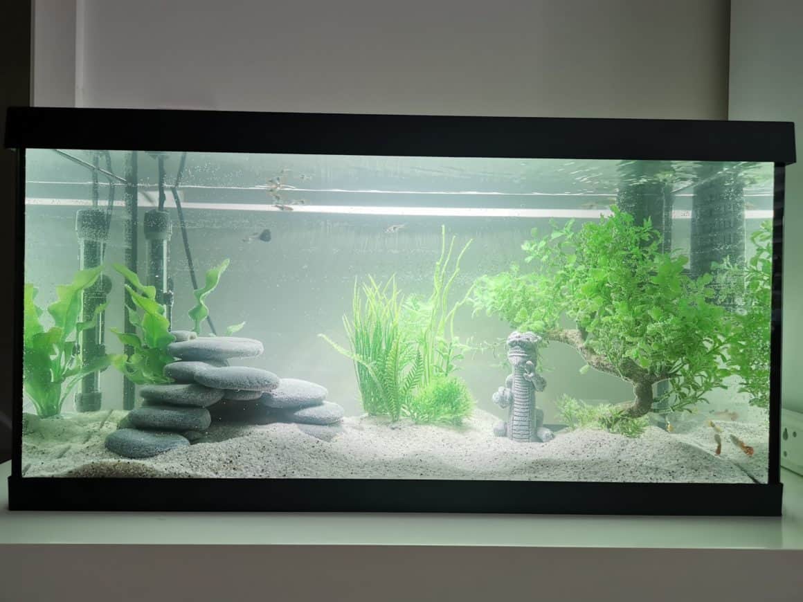 Freshwater store tank setup