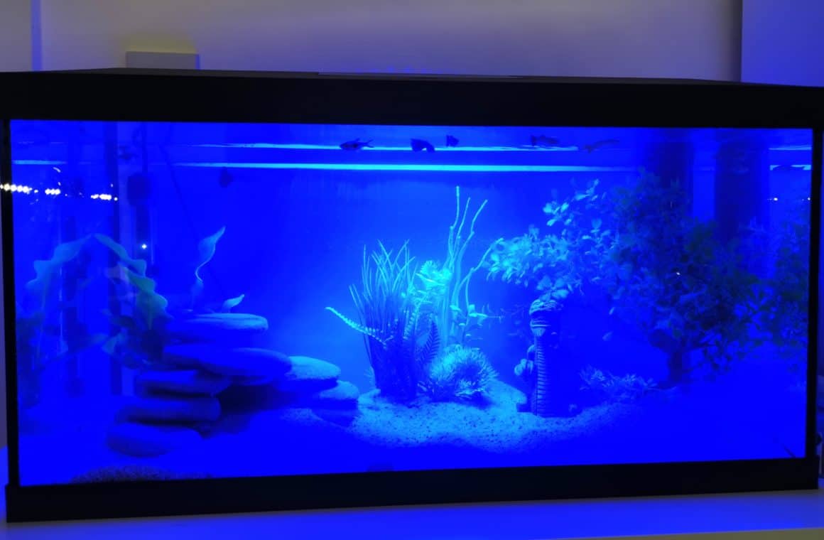 Aqua Leddy 60 Day and Night Tropical Fish Tank