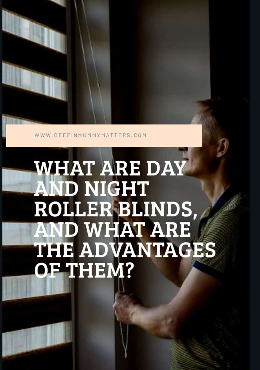 What Are Day And Night Roller Blinds, And What Are The Advantages Of Them? 1