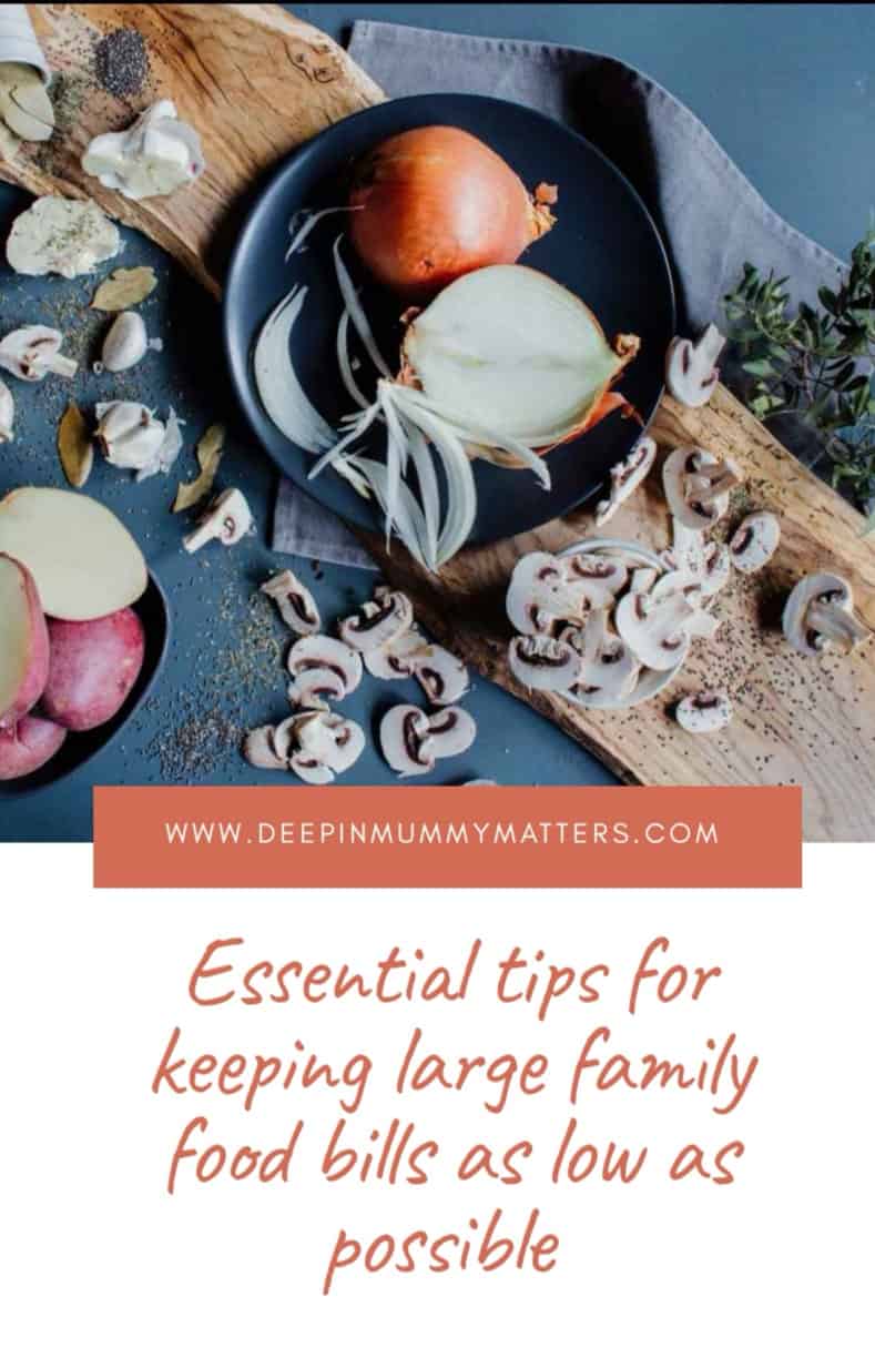 Essential Tips for Keeping Large Family Food Bills As Low As Possible 1