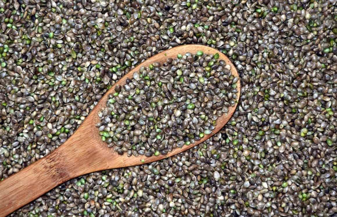 The best reasons why you should eat cannabis seeds