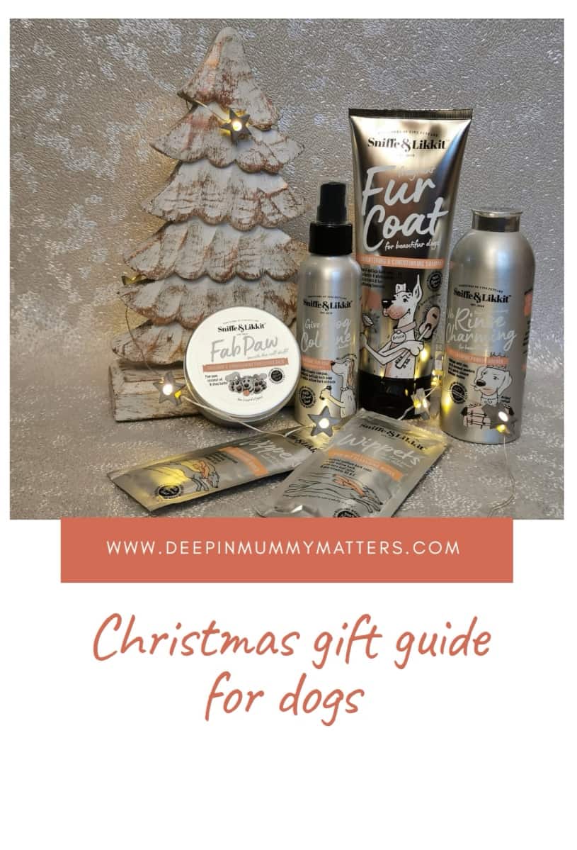 Christmas Gift Guide for Dogs 4